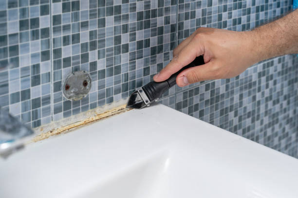 Best Black Mold Remediation in South Bradenton, FL